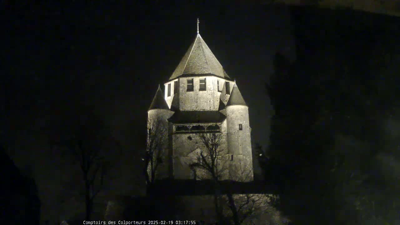A stone tower, illuminated at night, stands among bare trees under a dark sky.