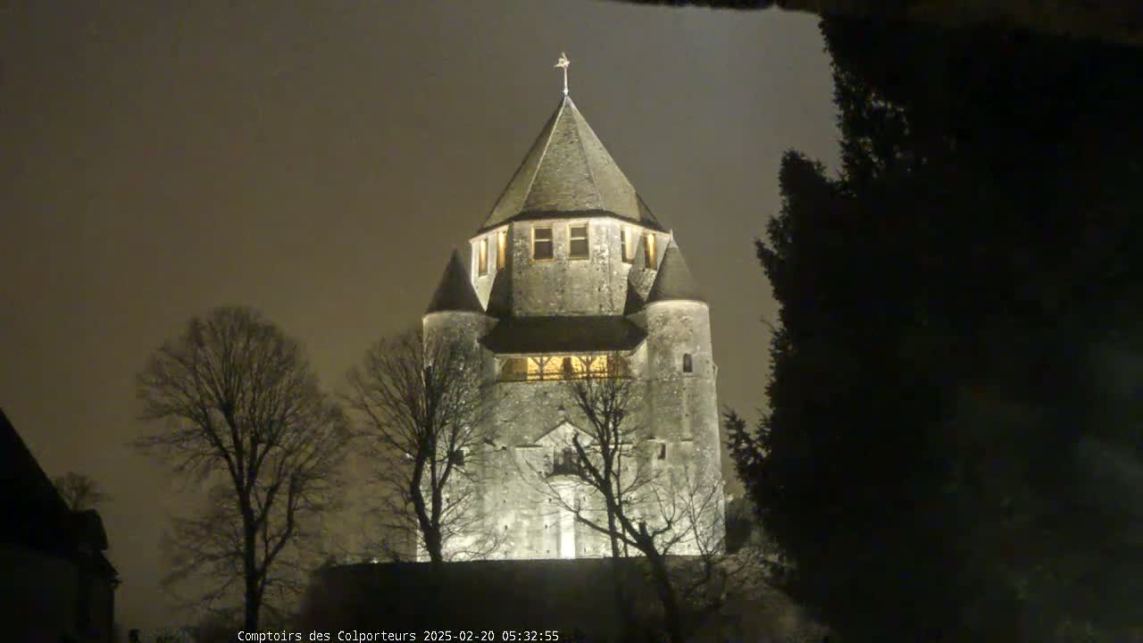 A stone tower, illuminated at night, stands behind bare trees under a dark, overcast sky.