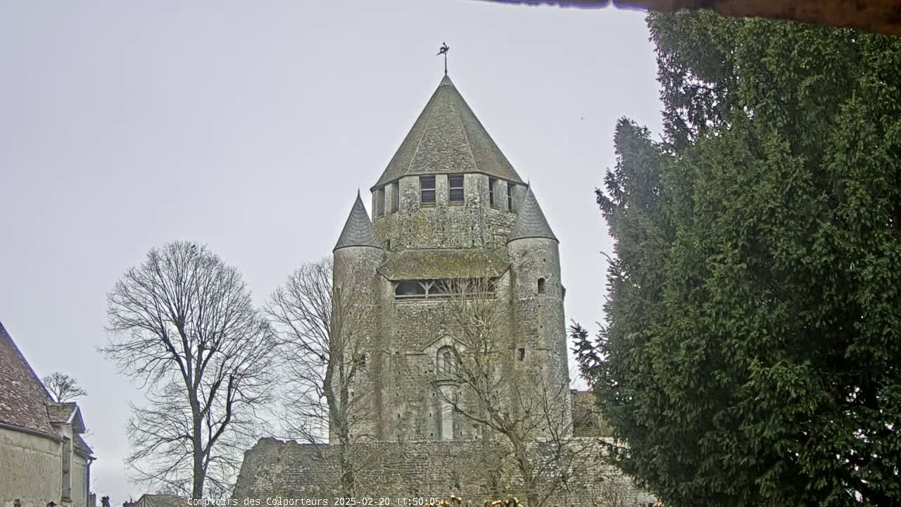 A tall, stone tower with a conical roof stands among bare trees under a cloudy sky.