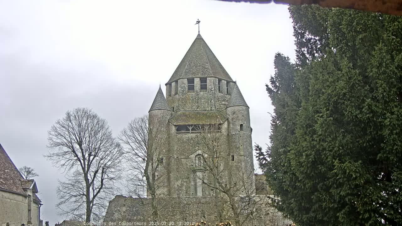 A large stone tower with a conical roof stands among bare trees under an overcast sky.
