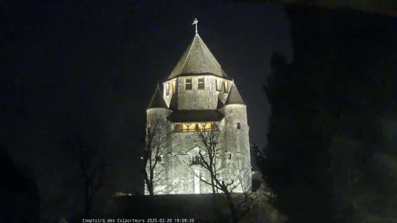 A stone tower, illuminated at night, stands among bare trees under a dark sky.