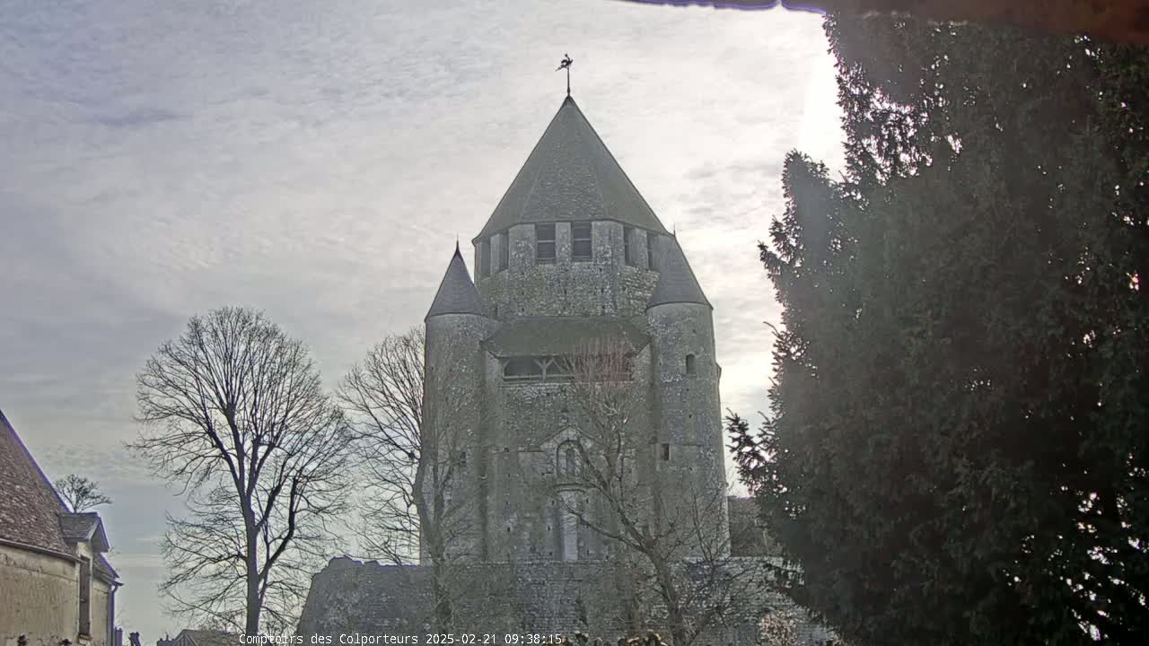 A large stone tower with a conical roof is seen under a cloudy sky, partially obscured by bare trees and an evergreen tree.