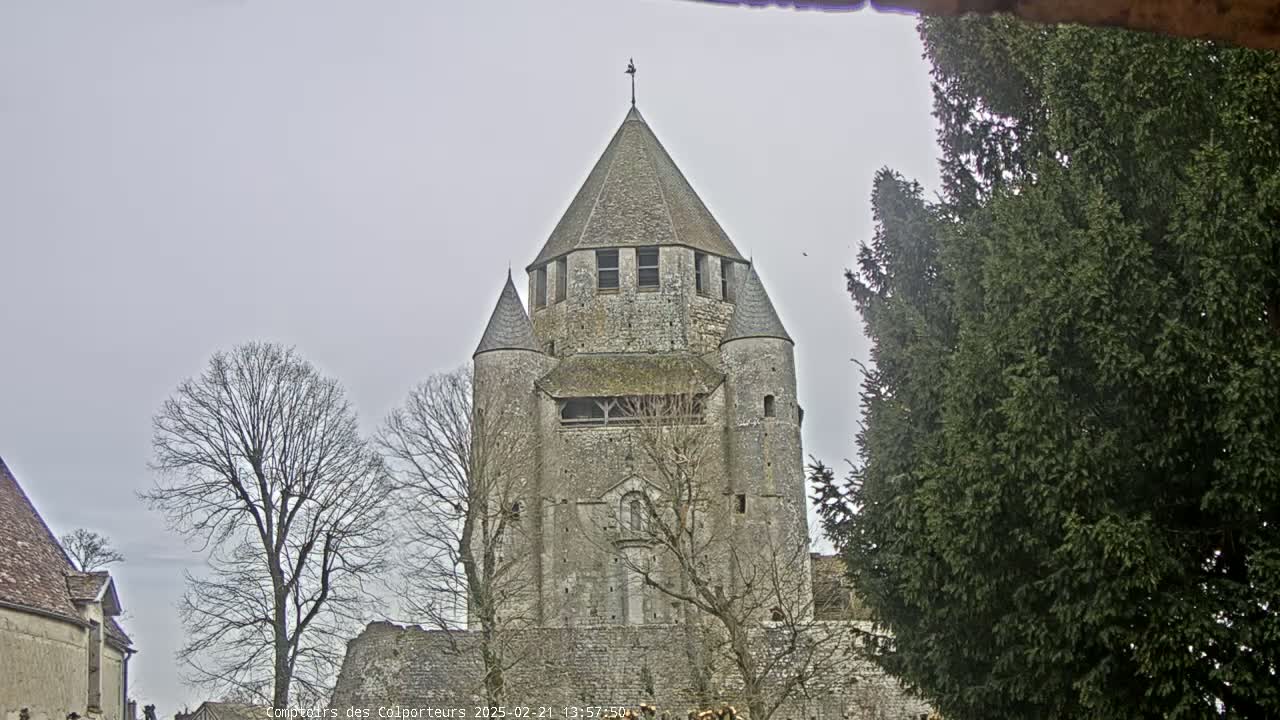 A tall, stone tower with a conical roof is seen on an overcast day, partially obscured by bare trees and an evergreen tree.