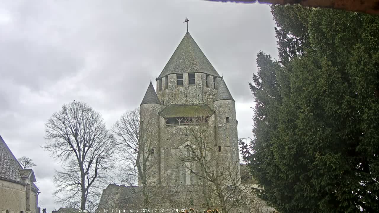A large stone tower, possibly part of a church or castle, stands under a cloudy sky, partially obscured by bare trees and an evergreen.