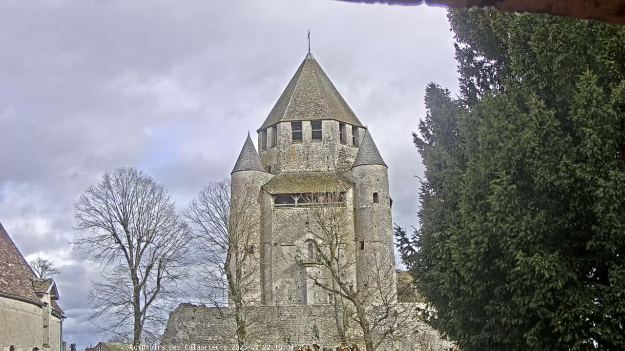 A large stone tower with a conical roof stands behind bare trees under a cloudy sky.