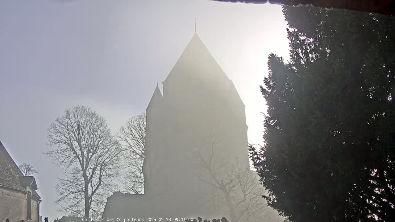 A tall, pointed church steeple is partially obscured by a thick fog, with bare trees and evergreen shrubs in the foreground.