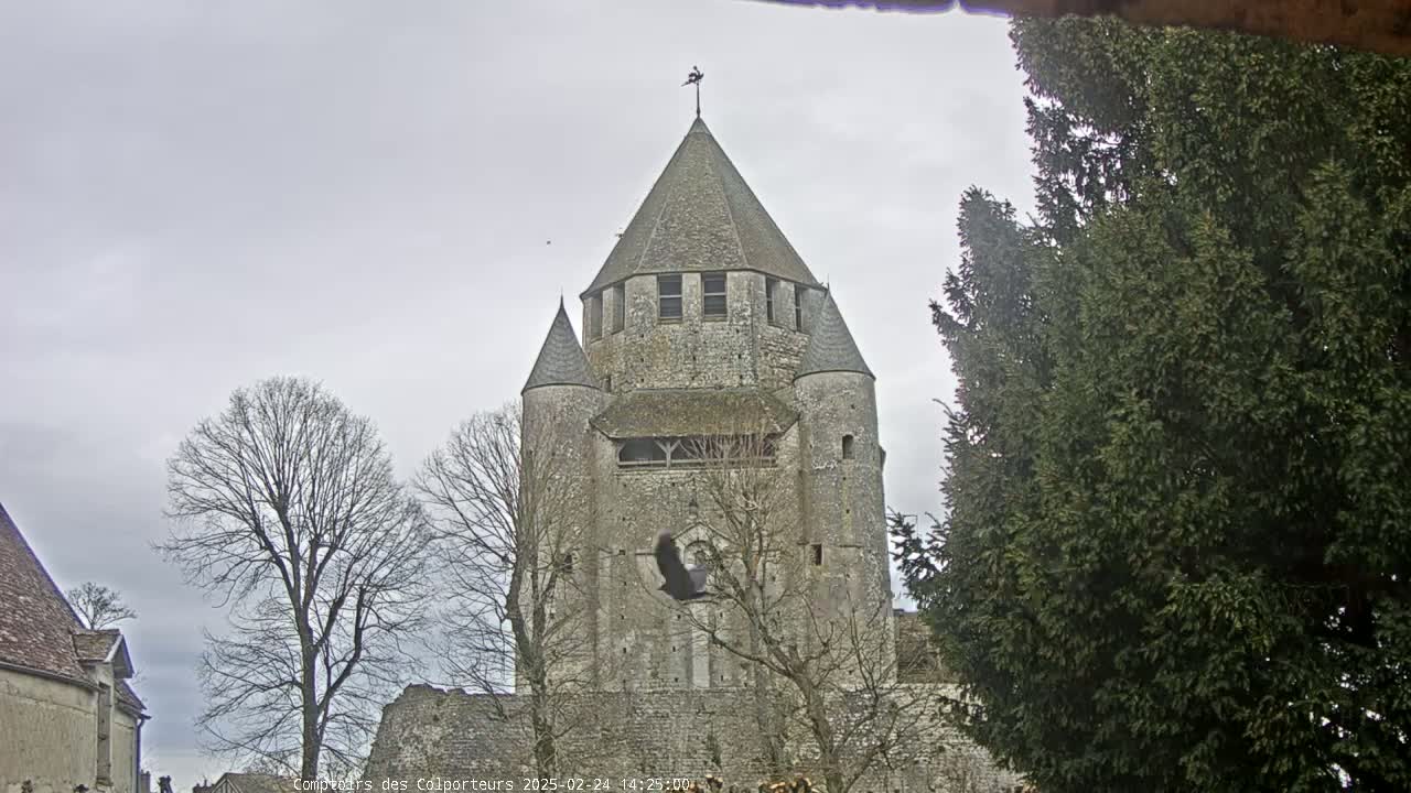 A large stone tower, part of a larger stone structure, is seen under an overcast sky, with bare trees and evergreen trees surrounding it.