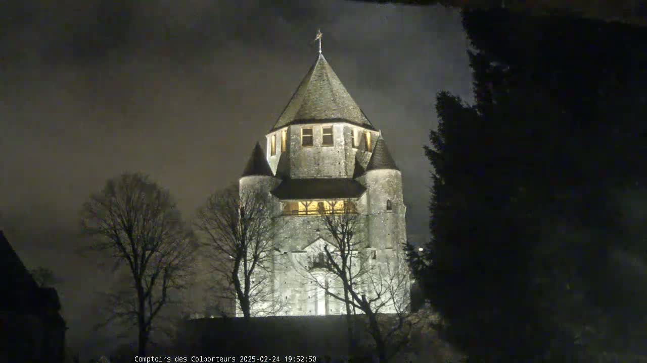 A stone tower, illuminated at night, stands among bare trees under a dark, cloudy sky.
