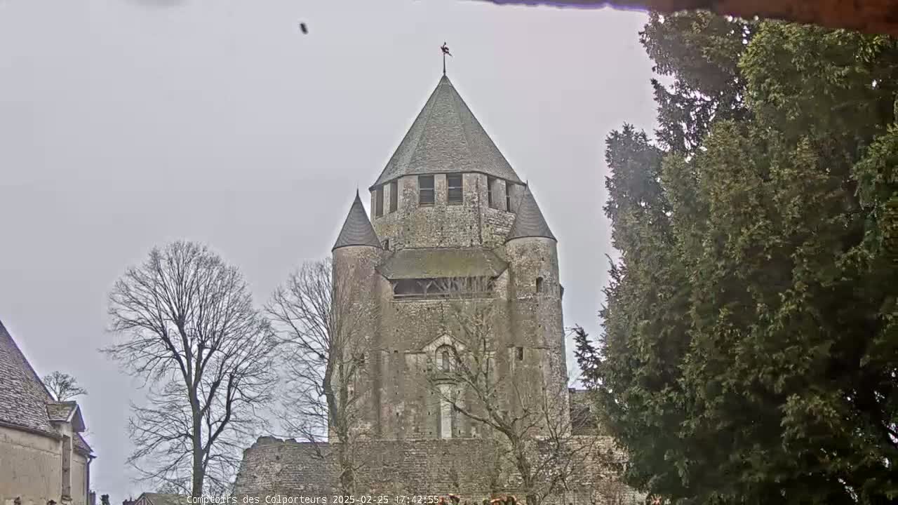 A stone tower with a conical roof, part of a larger stone structure, is seen on an overcast day amongst bare winter trees.