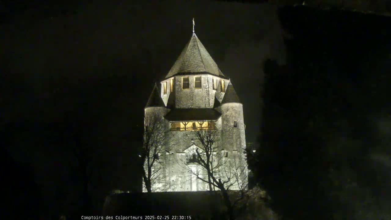 A stone tower, illuminated at night, stands among bare trees under a dark sky.