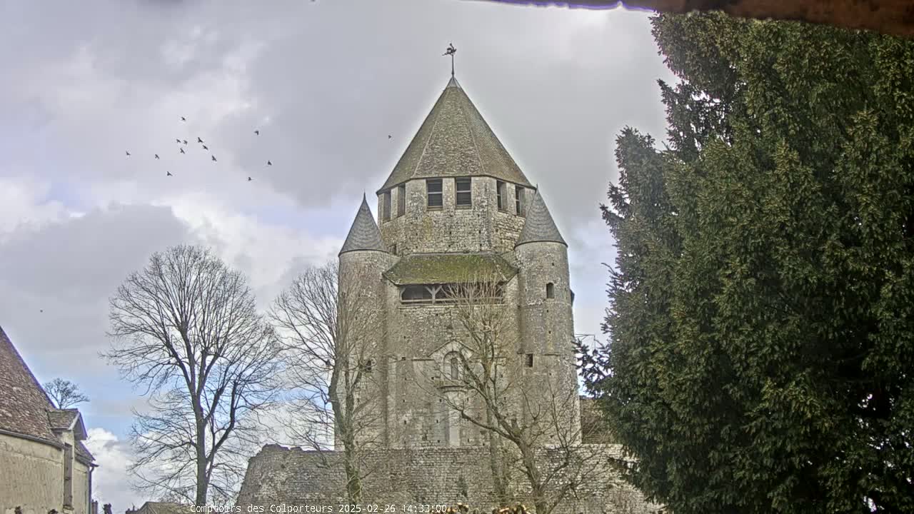 A stone tower with a conical roof stands among bare trees and evergreens under a cloudy sky, with a flock of birds flying overhead.