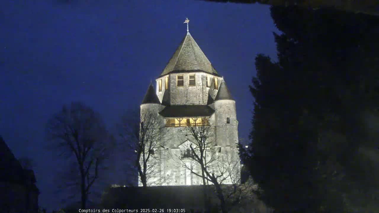 A stone tower, illuminated at night, stands among bare trees under a dark blue sky.