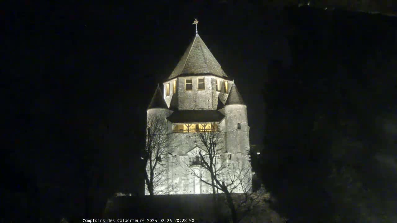 A stone tower, illuminated at night, stands among bare trees under a dark sky.