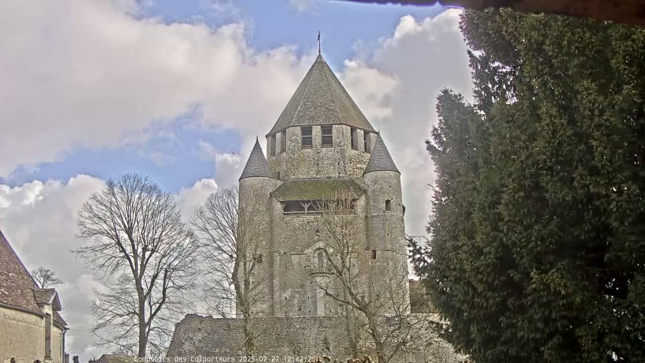 A stone tower with a conical roof stands prominently against a partly cloudy sky, surrounded by bare trees and evergreen shrubs.
