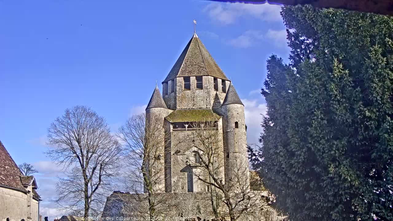 A large stone tower with a conical roof stands prominently, partially obscured by leafless trees and an evergreen tree under a clear blue sky.
