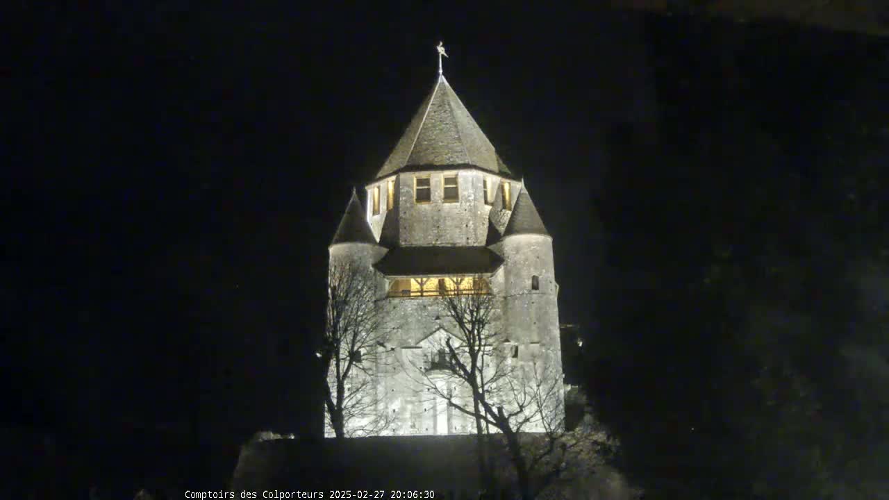 A tall, stone tower, illuminated at night, stands among bare trees.