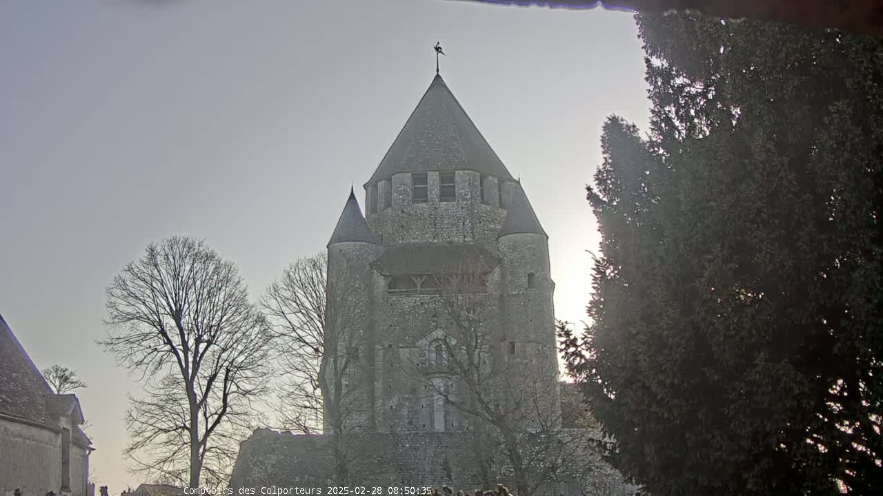 A stone tower, partially obscured by trees, stands under a pale, overcast sky.