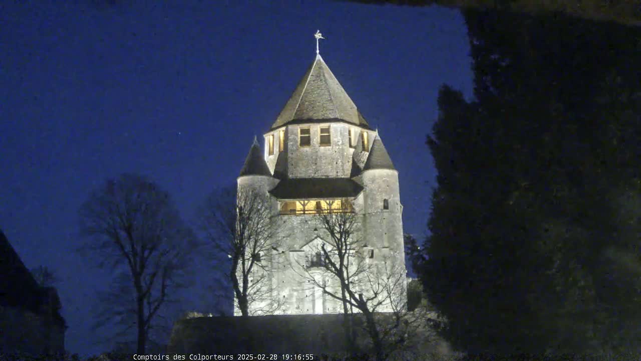 A stone tower, illuminated at night under a clear, dark blue sky, is partially obscured by silhouetted trees.