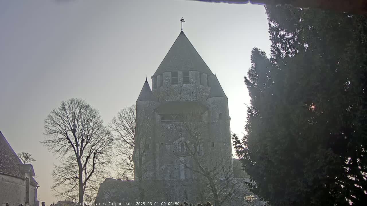 A large stone tower, partially obscured by bare trees and evergreen branches, stands under a hazy, bright sky.