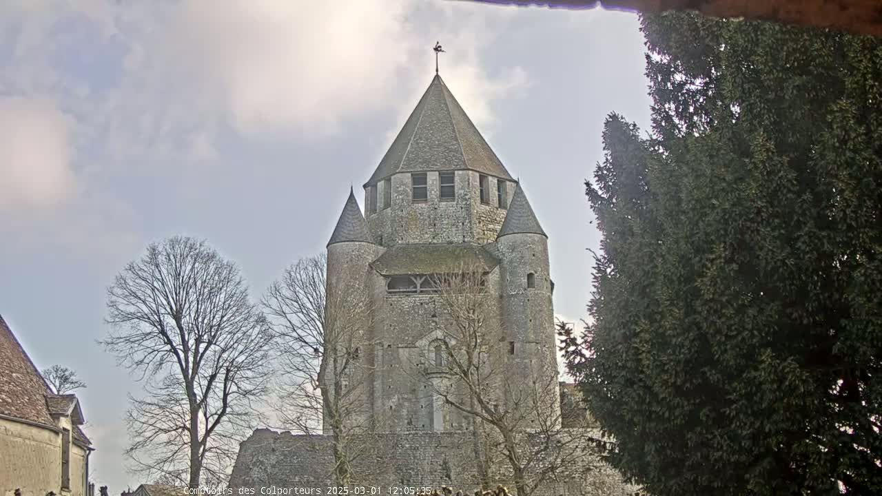 A large stone tower with a conical roof, surrounded by bare trees under a cloudy sky, is partially obscured by an evergreen tree on the right.
