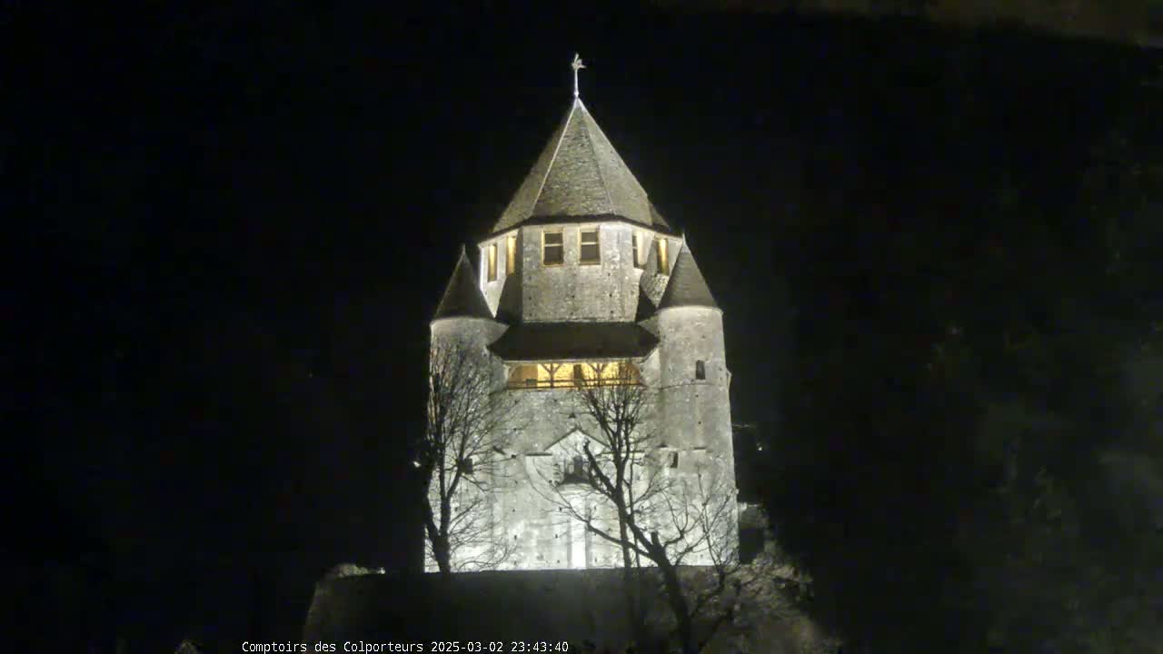 A stone tower, illuminated at night, stands amongst bare, silhouetted trees under a dark sky.