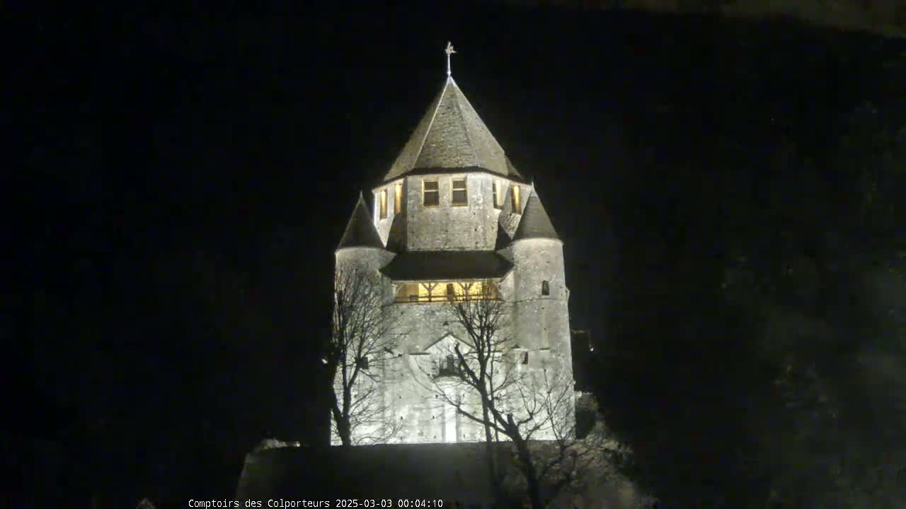 A stone tower, illuminated at night, stands amongst bare trees under a dark sky.