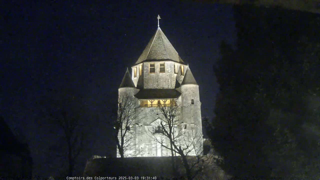 A stone tower, illuminated at night, stands among bare trees under a dark sky.