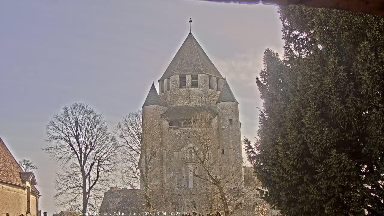 A stone tower with a conical roof stands among bare trees under a pale sky.