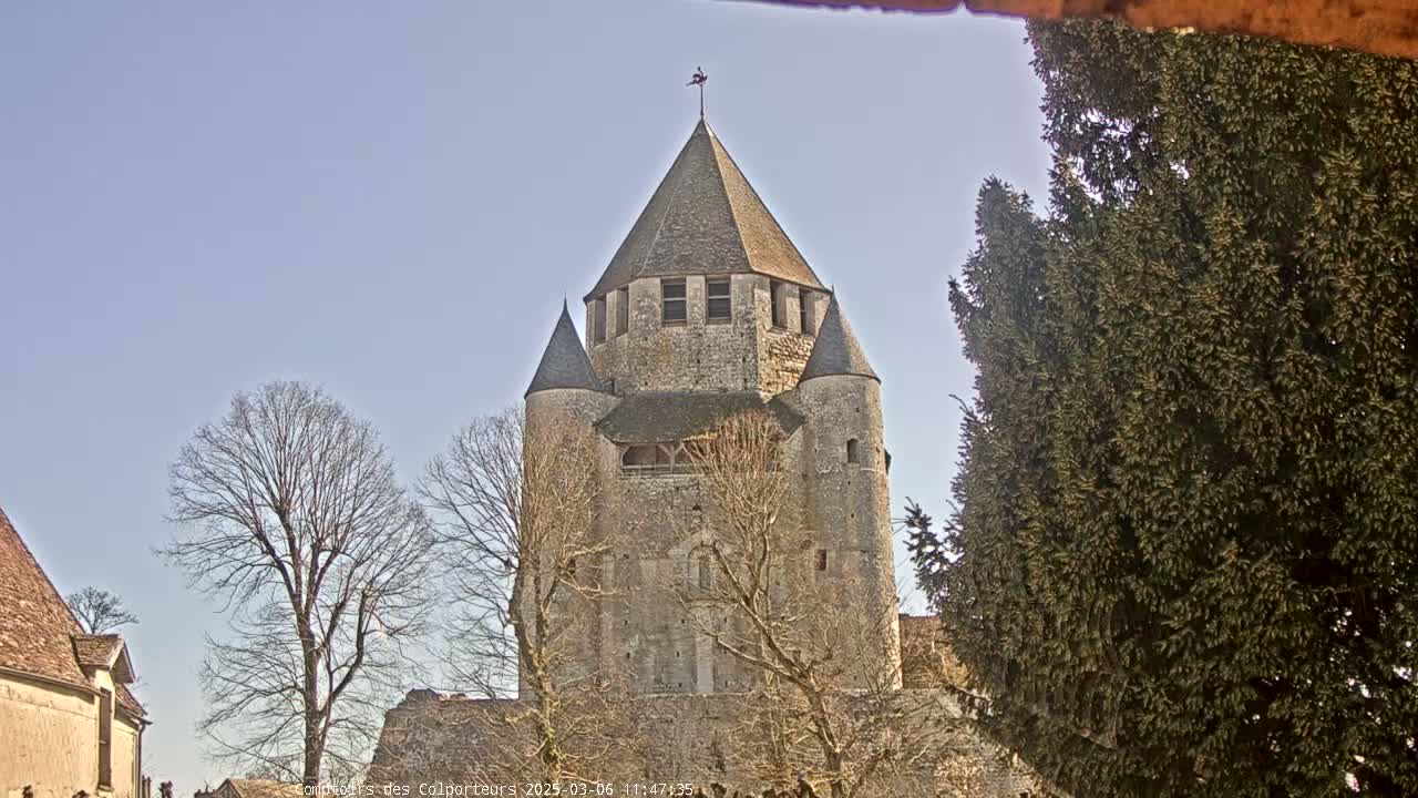 A stone tower with a conical roof stands among bare trees under a clear blue sky.