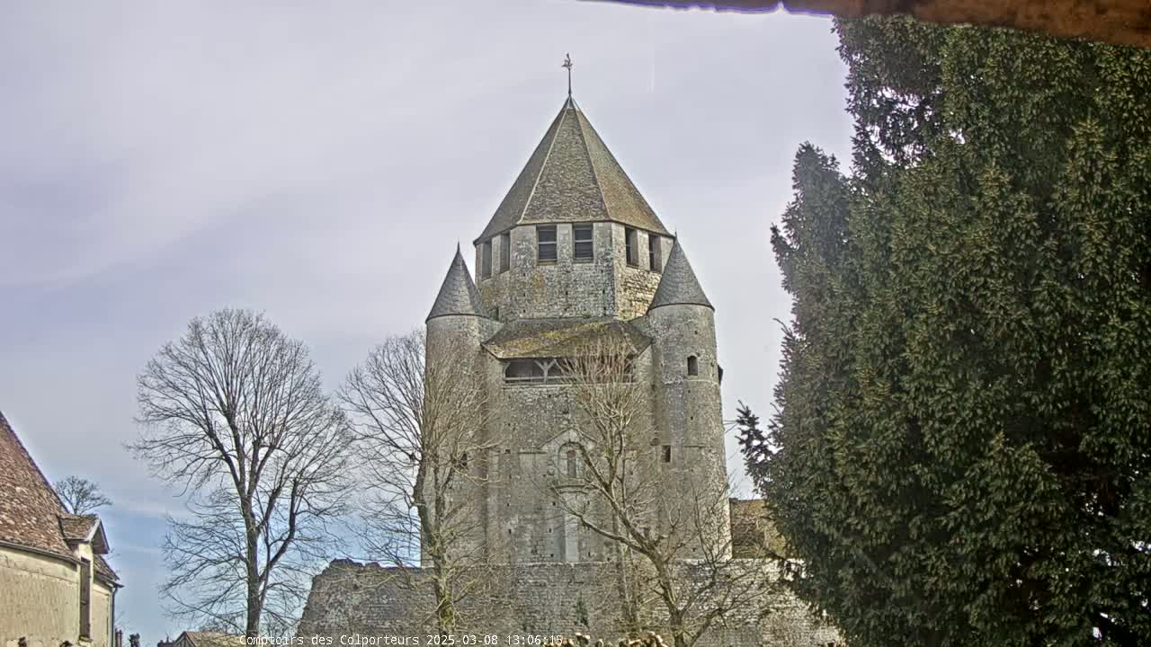 A tall stone tower with a conical roof, flanked by smaller turrets, stands under a cloudy sky, surrounded by bare winter trees and evergreen shrubs.