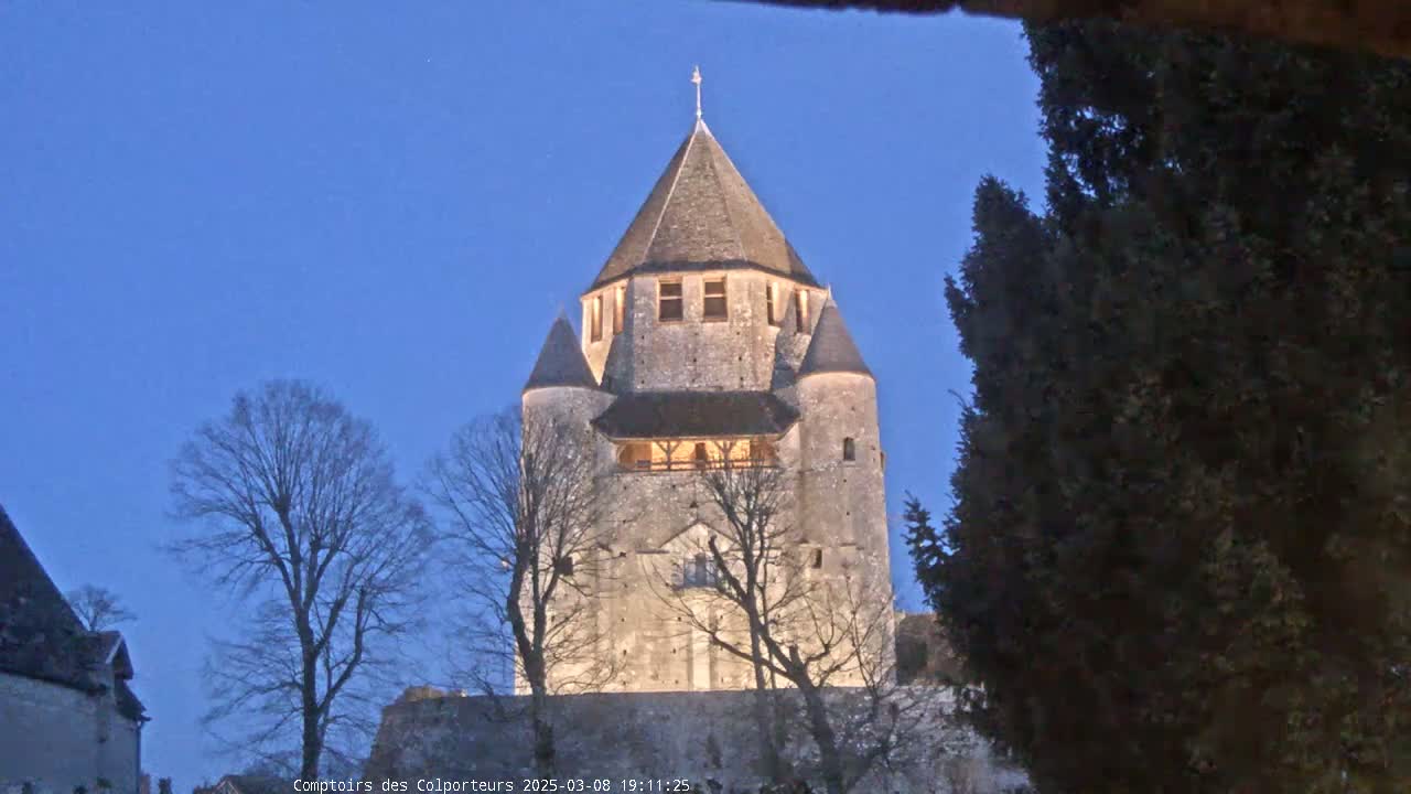 A stone tower, illuminated at night, stands among bare winter trees under a clear twilight sky.