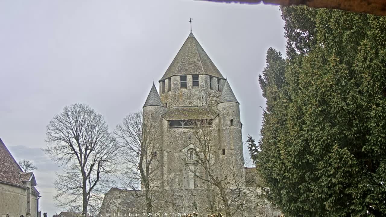 A large stone tower, part of a larger building complex, is seen under an overcast sky, surrounded by bare deciduous trees and an evergreen tree.