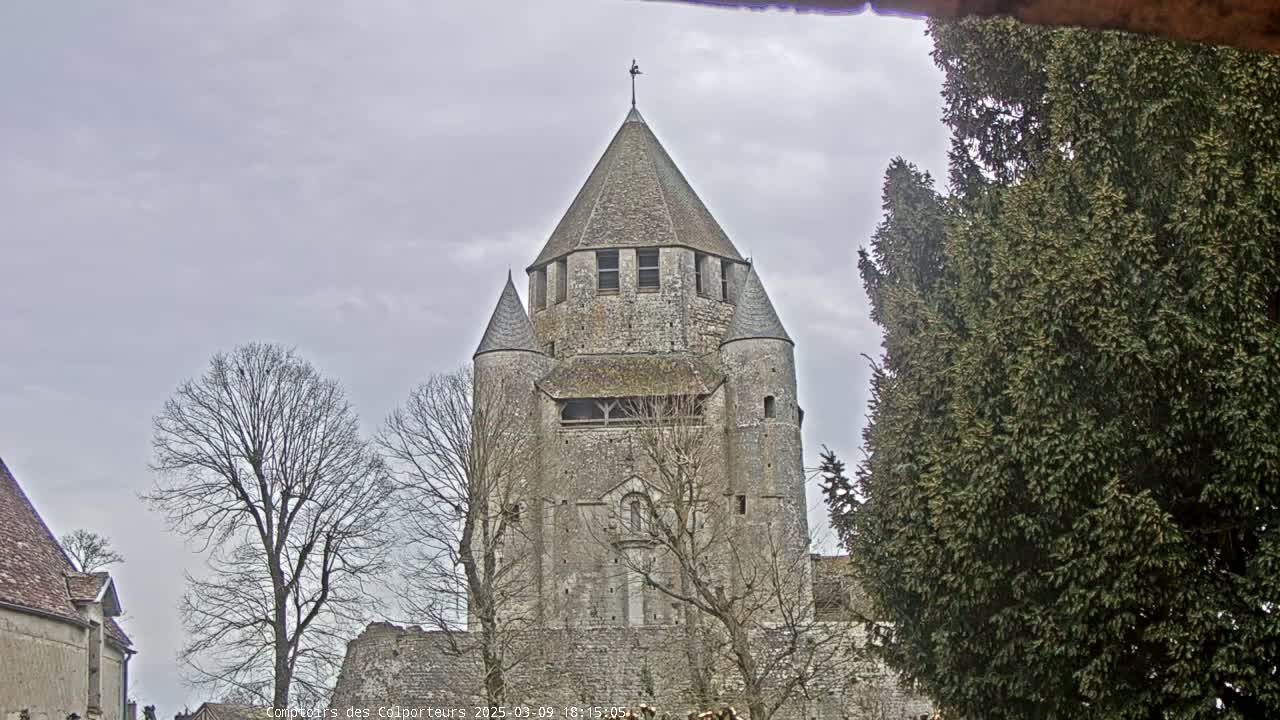 A tall, stone tower with a conical roof stands among bare trees under a cloudy sky.