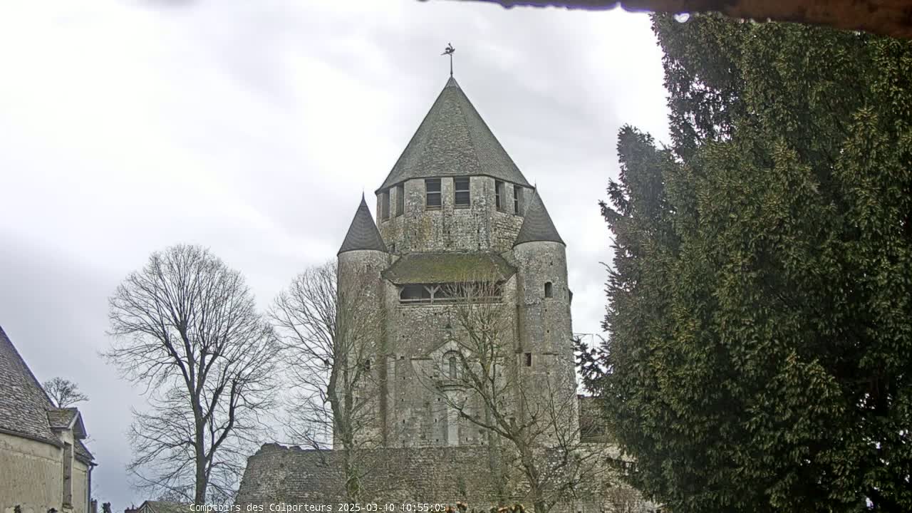 A tall, stone tower with a conical roof stands among bare winter trees under an overcast sky.