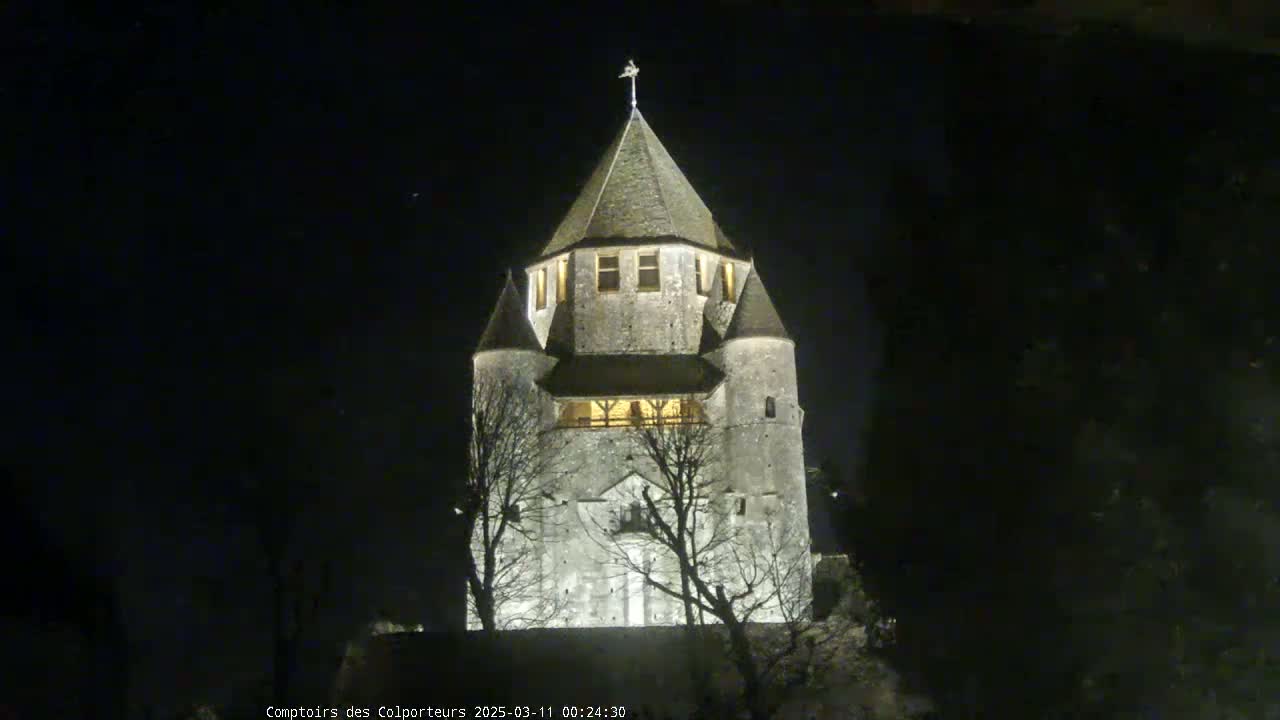 A stone tower, illuminated at night, stands among bare trees under a dark sky.