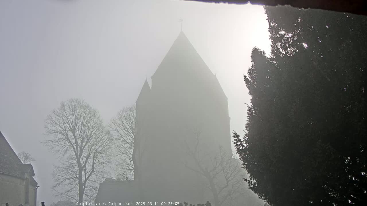A tall church steeple is partially obscured by thick fog, with bare trees and evergreens in the foreground.