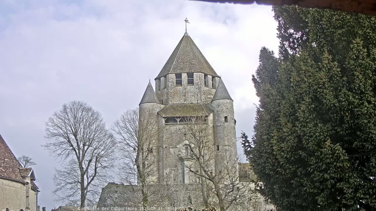 A large stone tower, part of a larger stone structure, stands under a cloudy sky, surrounded by bare deciduous trees and an evergreen tree.