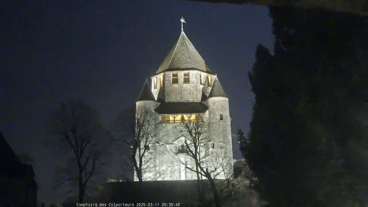 A stone tower, illuminated at night, stands among bare trees under a dark sky.