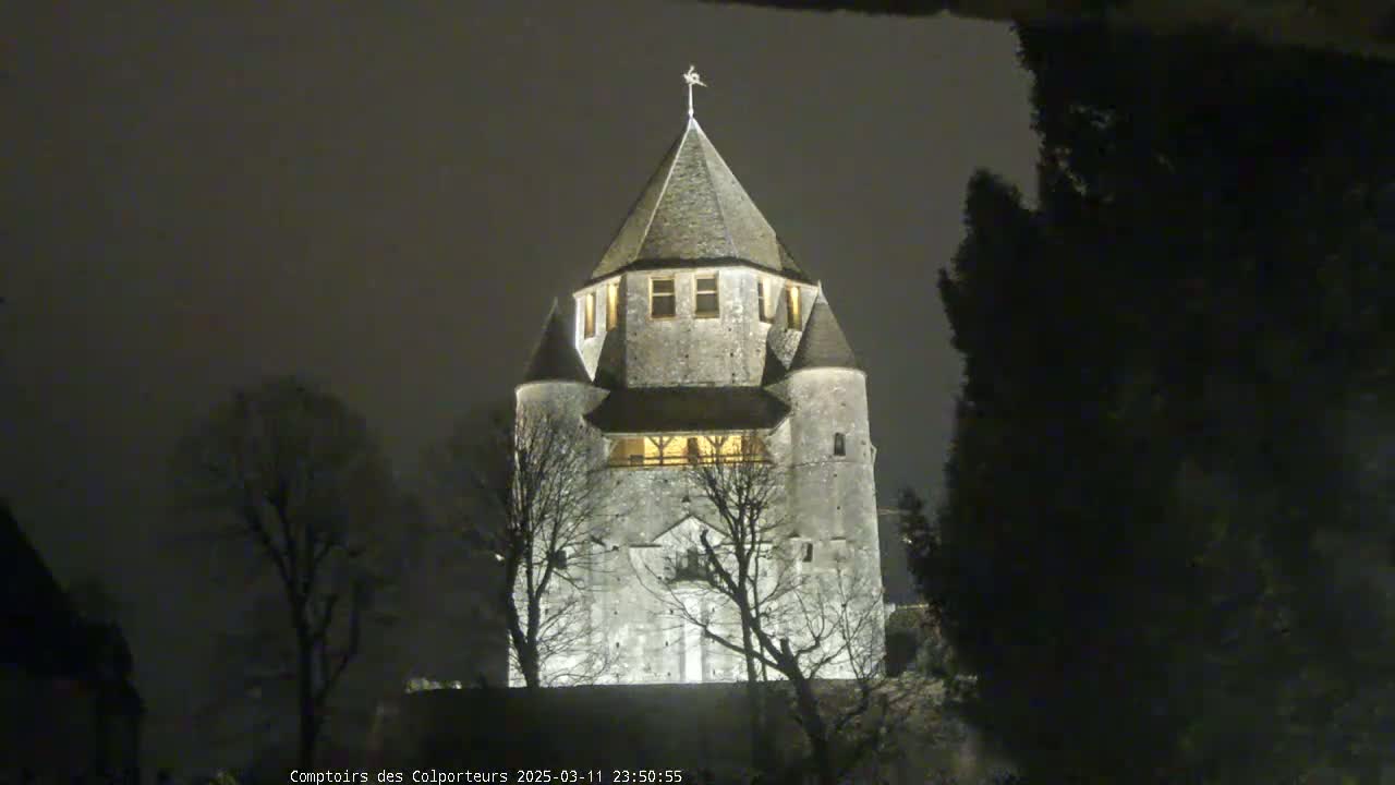 A stone tower, illuminated at night, stands among bare trees under a dark sky.