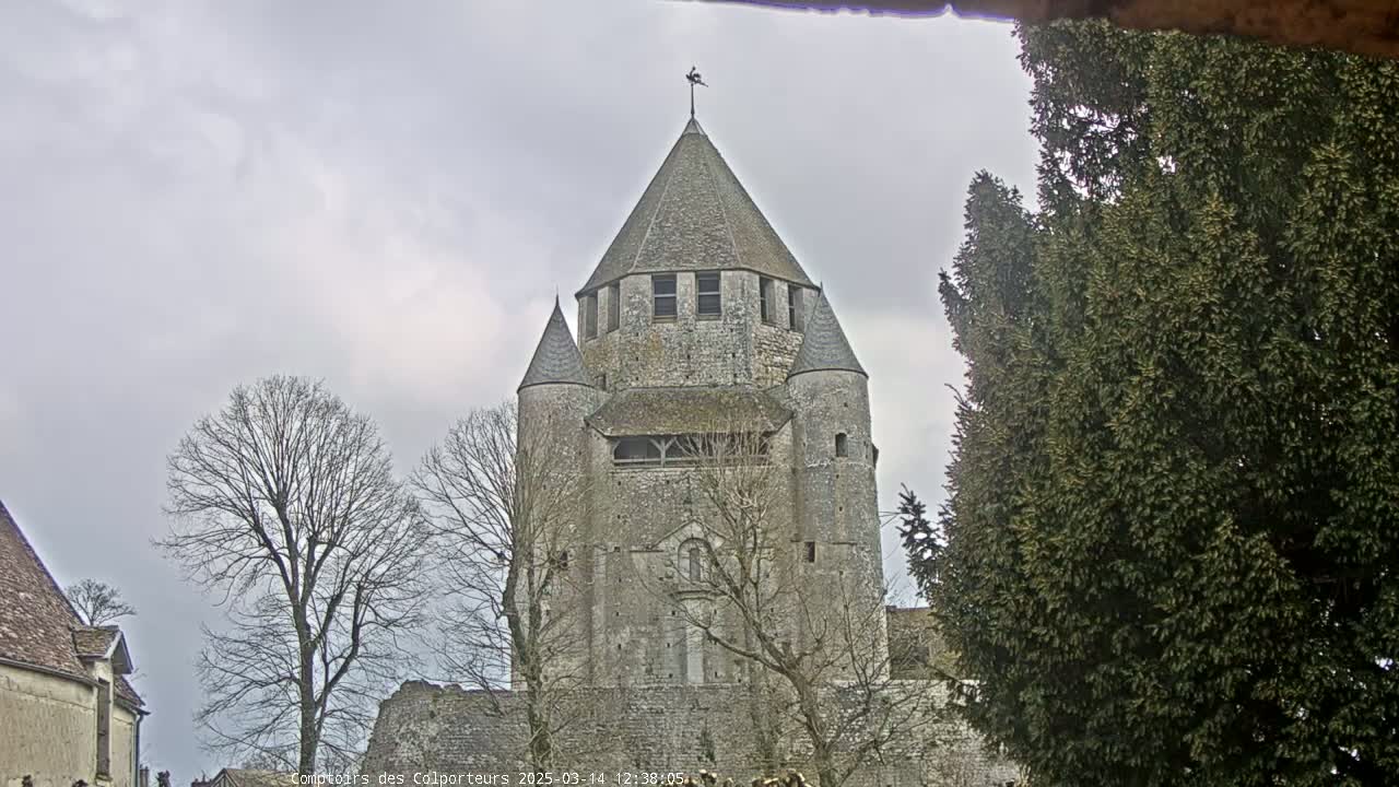 A large stone tower, part of a larger stone structure, is seen under an overcast sky, partially obscured by bare trees and an evergreen tree.