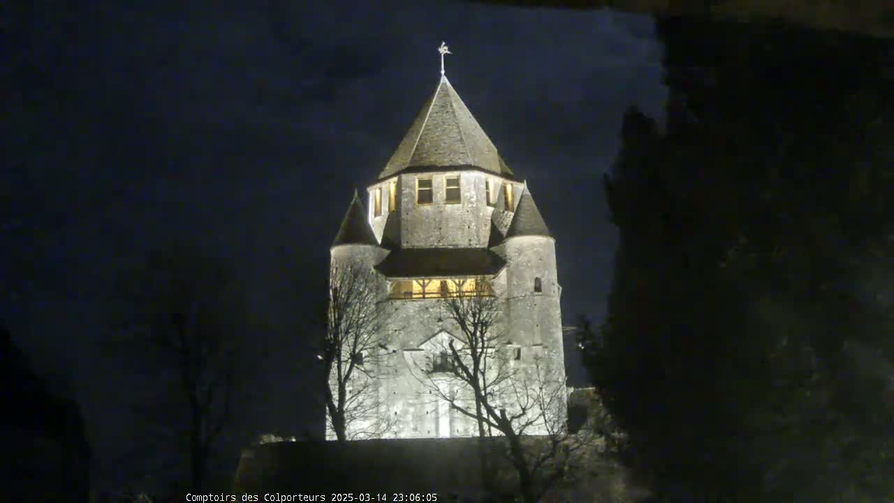 A stone tower, illuminated at night, stands among bare, dark trees under a dark sky.