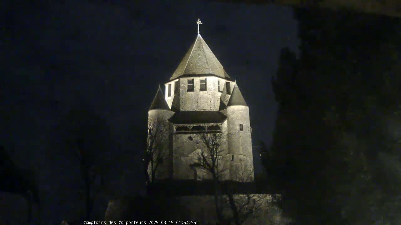 A stone tower, illuminated at night, stands among dark trees.
