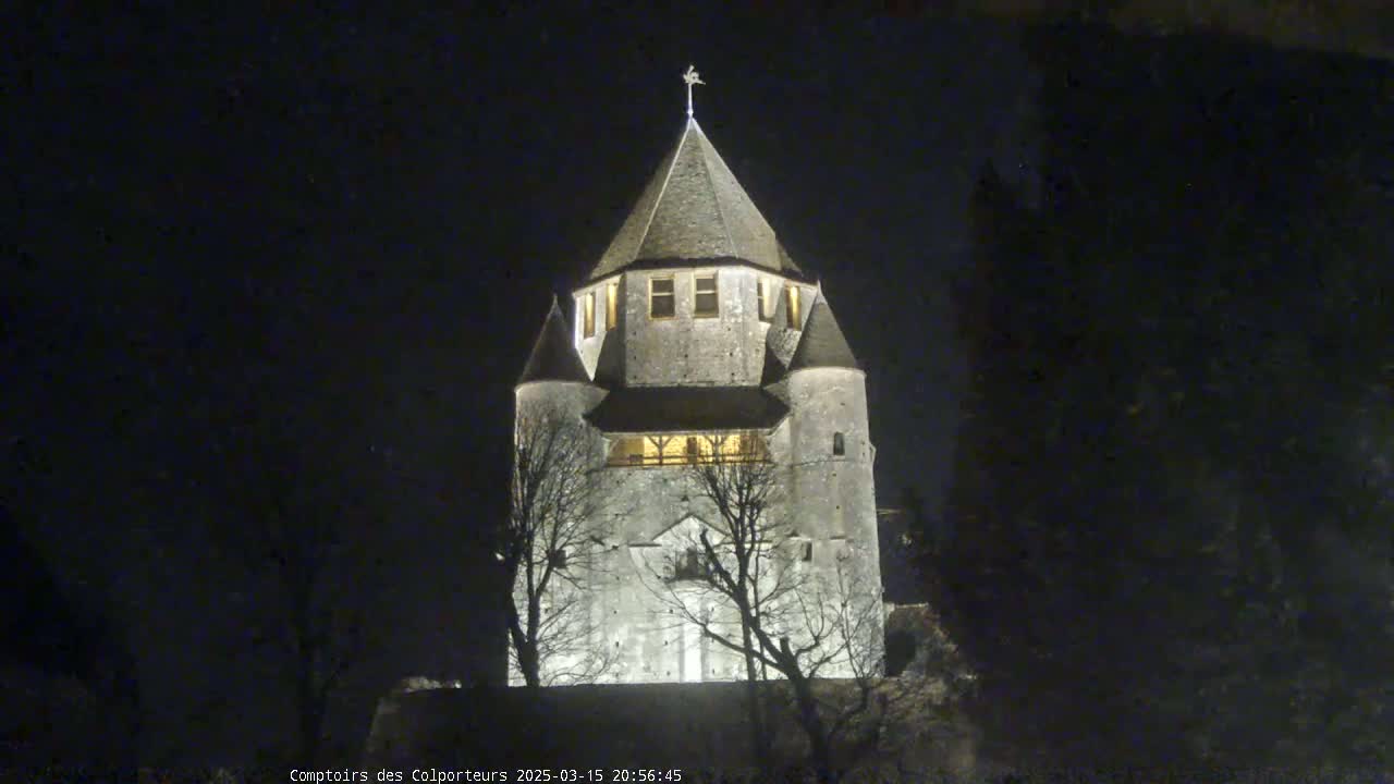 A stone tower, illuminated at night, stands among bare, dark trees under a dark sky.