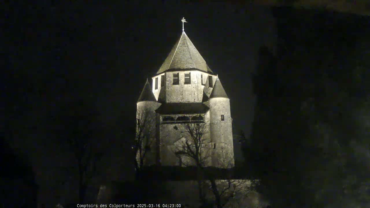A stone tower, illuminated at night, stands among dark trees under a clear, dark sky.