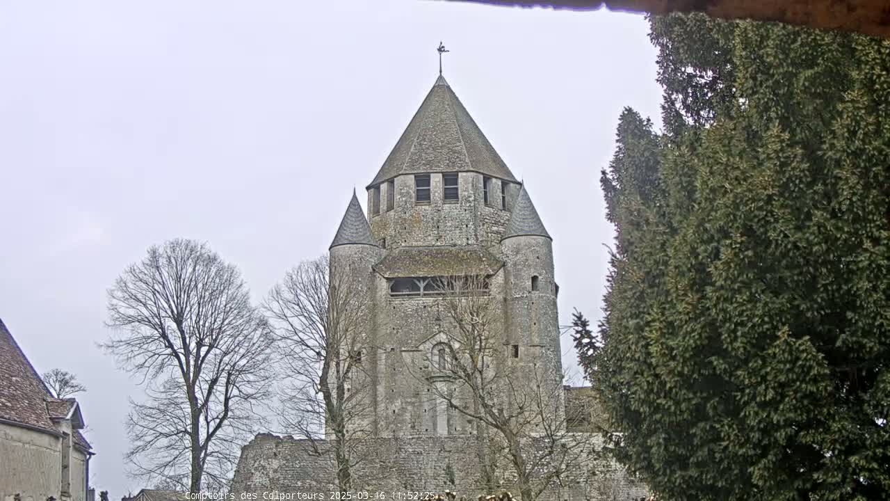 A stone tower, part of a larger stone structure, is seen under an overcast sky, surrounded by bare winter trees and an evergreen tree.