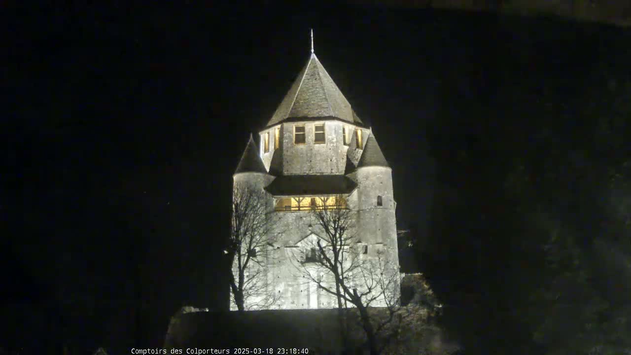 A tall, stone tower, illuminated at night, stands among bare trees under a dark sky.