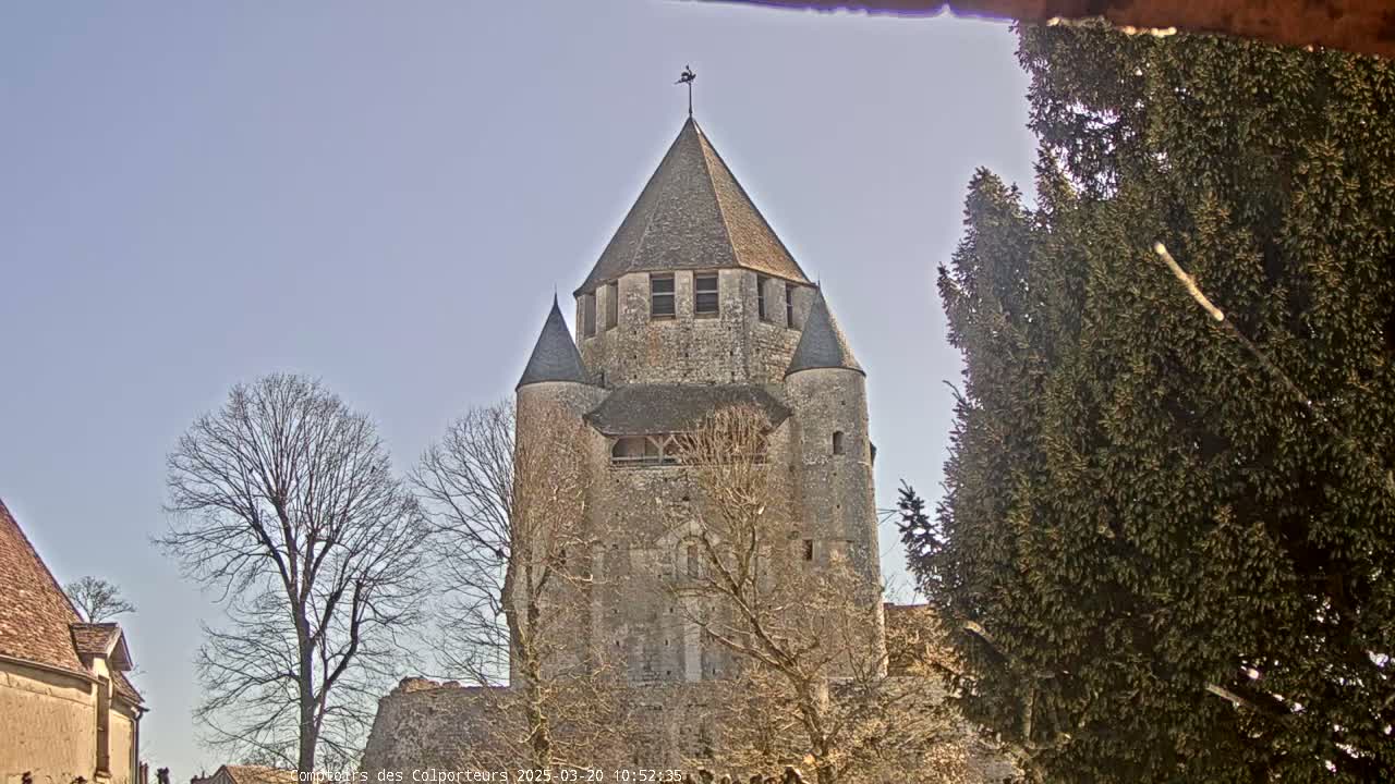A stone tower with a conical roof stands among leafless trees under a clear, pale blue sky.