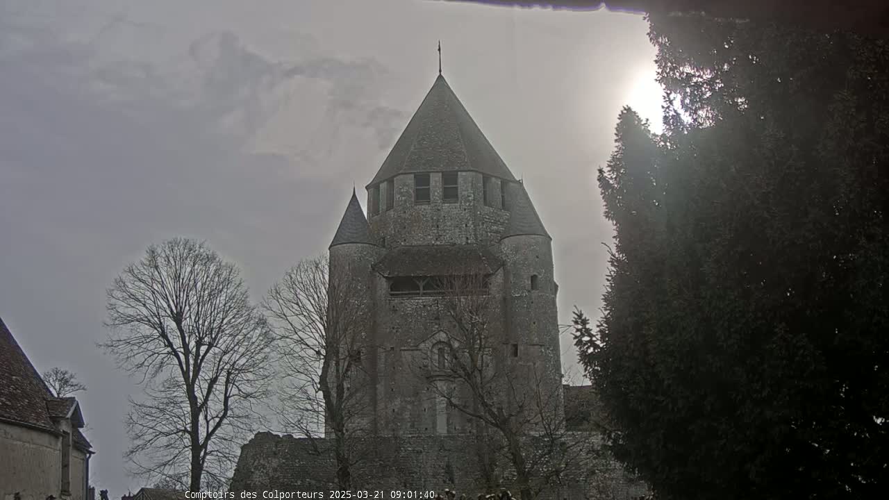 A large stone tower, partially obscured by bare trees and an evergreen, stands under a cloudy sky with a partially visible sun.