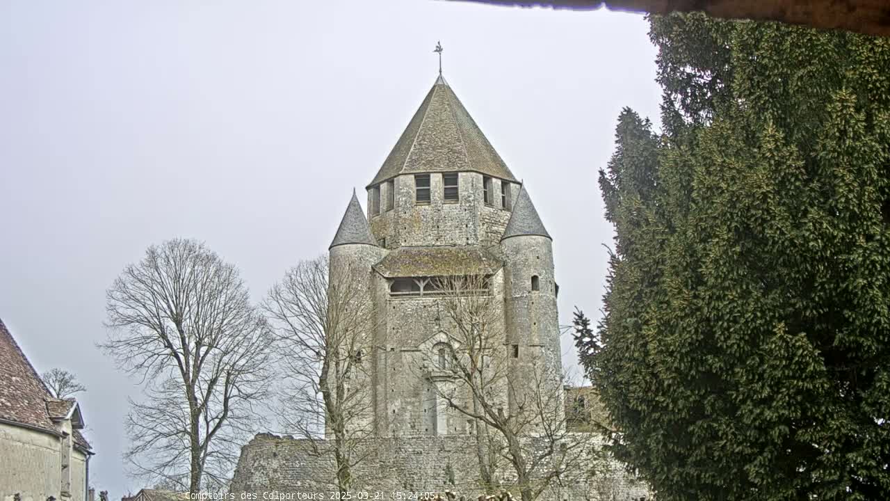 A large stone tower with a conical roof stands amidst bare trees under an overcast sky.