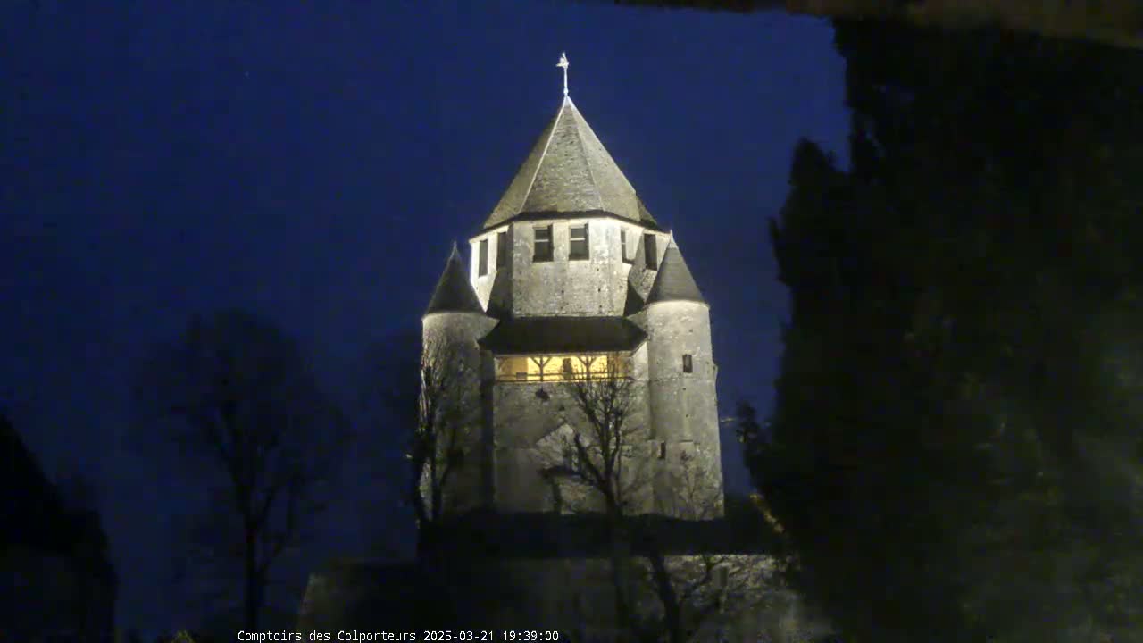 A stone tower, illuminated at night, stands among dark trees under a clear, dark blue sky.